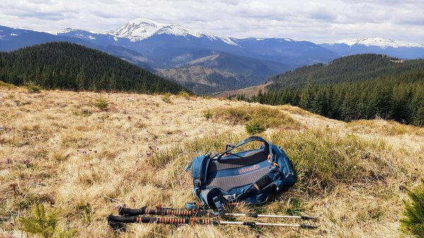 Peut-on organiser une croisière pour observer les gorilles en Afrique?